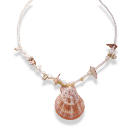 Big Shell Necklace