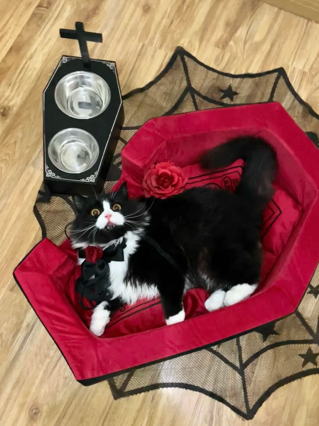 Cat Cardboard House Bat Box Gothic Cat Bed For Indoor Cats Or Pets