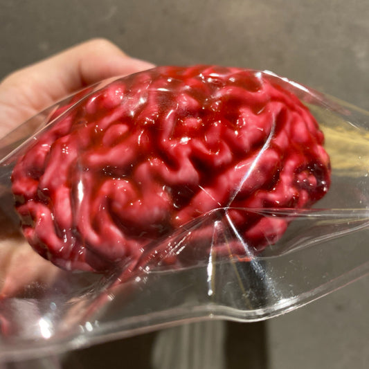 Handmade Brain Squishy Toy