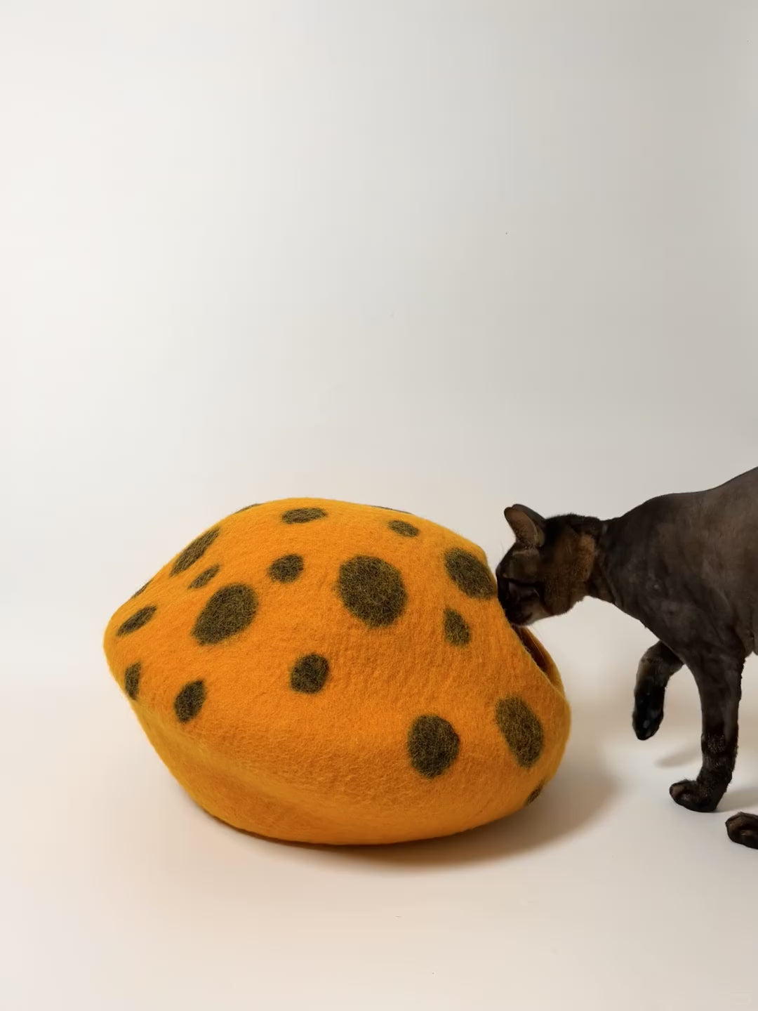 Handmade Wool Felt Pumpkin Cat Cave