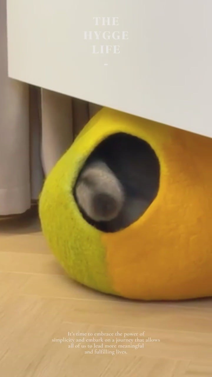 Handmade Wool Felt Lemon Cat Cave