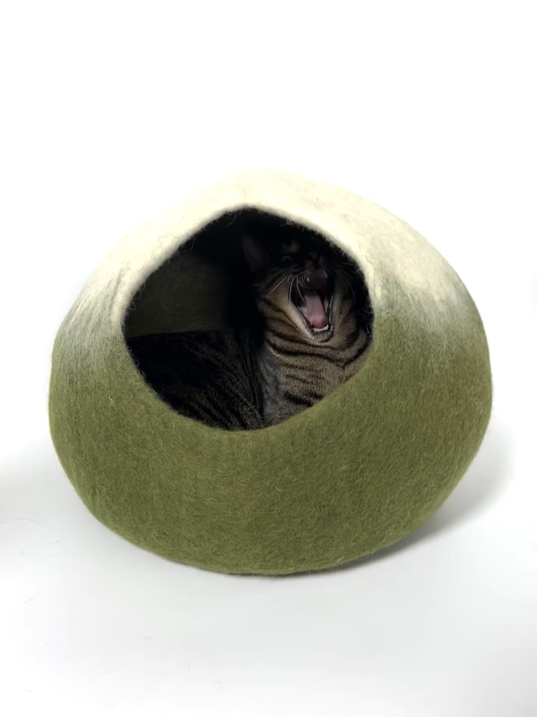 Handmade Wool Felt Matcha Cat Cave