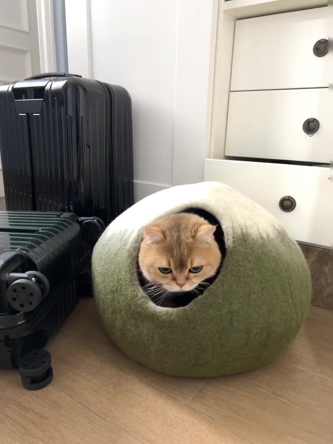 Handmade Wool Felt Matcha Cat Cave